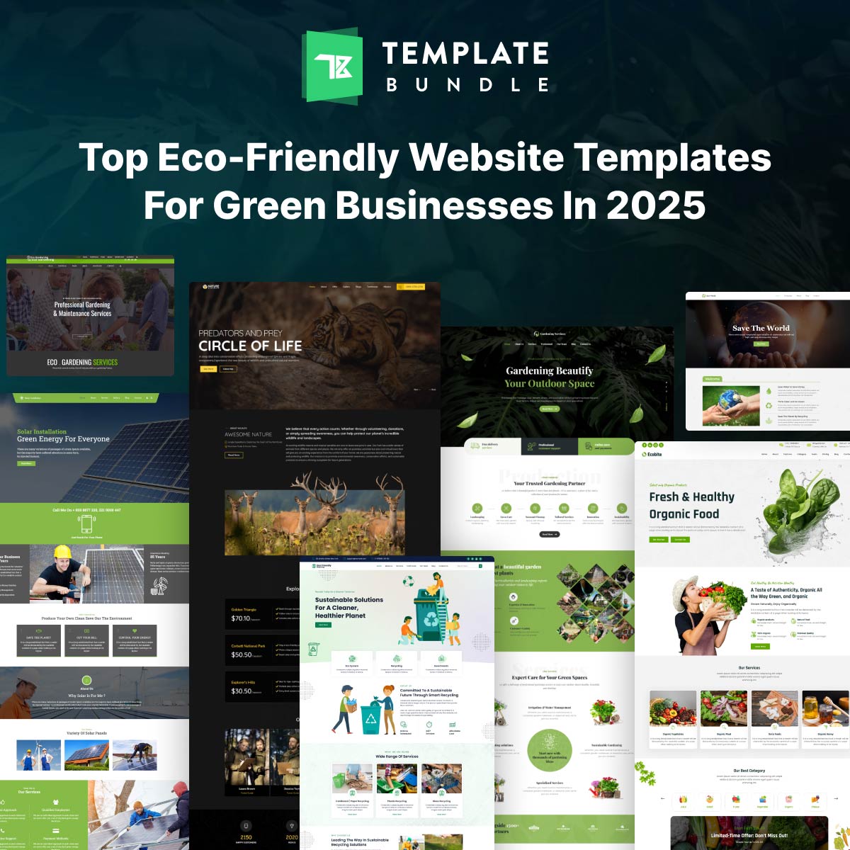 Eco Friendly Website Templates